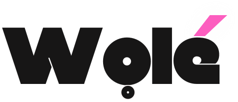 Wole Fintech Logo (2) (1)